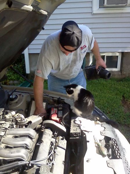 Прикольные картинки в большом количестве (98 шт) Прикольные картинки в большом количестве (98 шт)