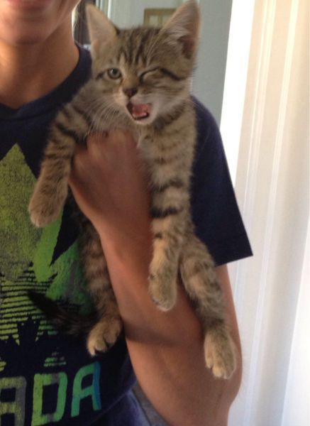 Прикольные картинки в большом количестве (98 шт) Прикольные картинки в большом количестве (98 шт)