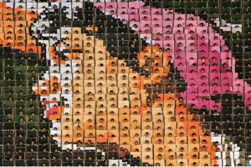 Изумительные человеческие мозаики на массовых играх Ариран в Северной Корее