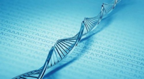 10 Поразительных фактов о ДНК