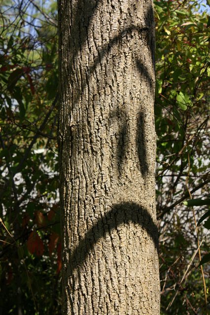 Забавные рожицы вокруг нас (24 фото) Забавные рожицы вокруг нас (24 фото)