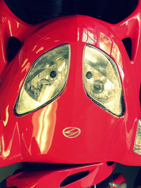 Забавные рожицы вокруг нас (24 фото) Забавные рожицы вокруг нас (24 фото)