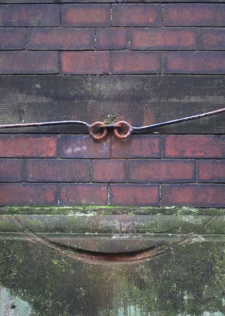 Забавные рожицы вокруг нас (24 фото) Забавные рожицы вокруг нас (24 фото)