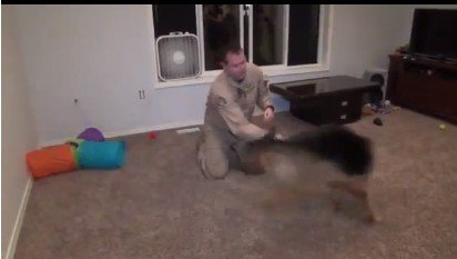 Беспредельная радость