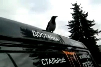 Когда жрать захочешь, еще не так заговоришь!