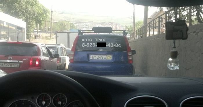 Прикольные картинки для хорошего настроения (51 шт) Прикольные картинки для хорошего настроения (51 шт)