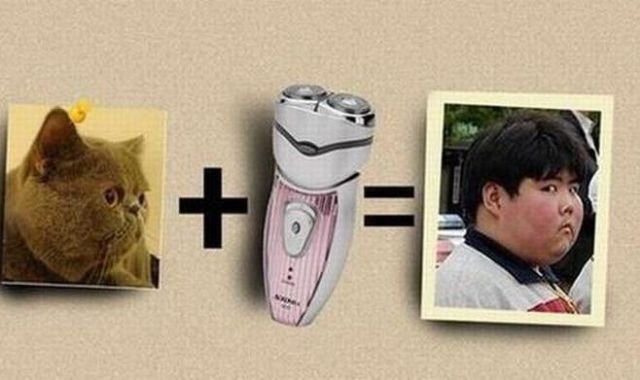 Прикольные картинки для хорошего настроения (51 шт) Прикольные картинки для хорошего настроения (51 шт)