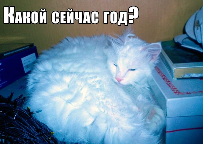 Прикольные картинки для хорошего настроения (51 шт) Прикольные картинки для хорошего настроения (51 шт)