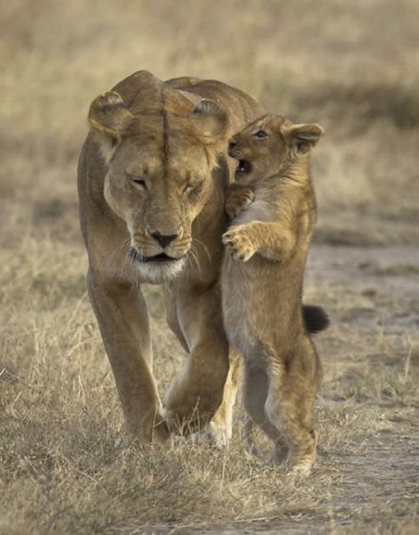 Эмоции и настроение в фотографиях (35 шт) Эмоции и настроение в фотографиях (35 шт)