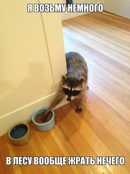 Прикольные картинки в пятницу (45 шт) Прикольные картинки в пятницу (45 шт)