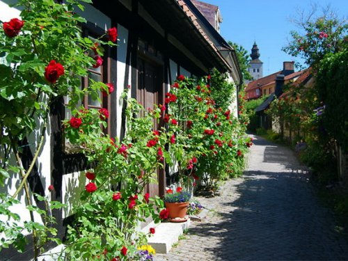 15 Очаровательных переулков