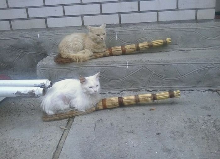 Прикольные картинки перед выходными (39 шт) Прикольные картинки перед выходными (39 шт)