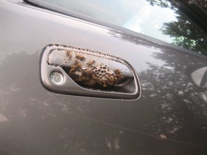 Прикольные картинки перед выходными (39 шт) Прикольные картинки перед выходными (39 шт)