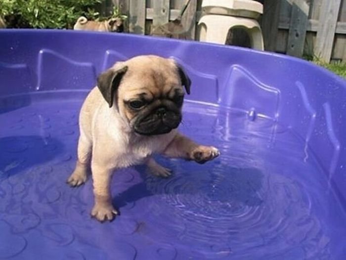 Прикольные картинки перед выходными (39 шт) Прикольные картинки перед выходными (39 шт)