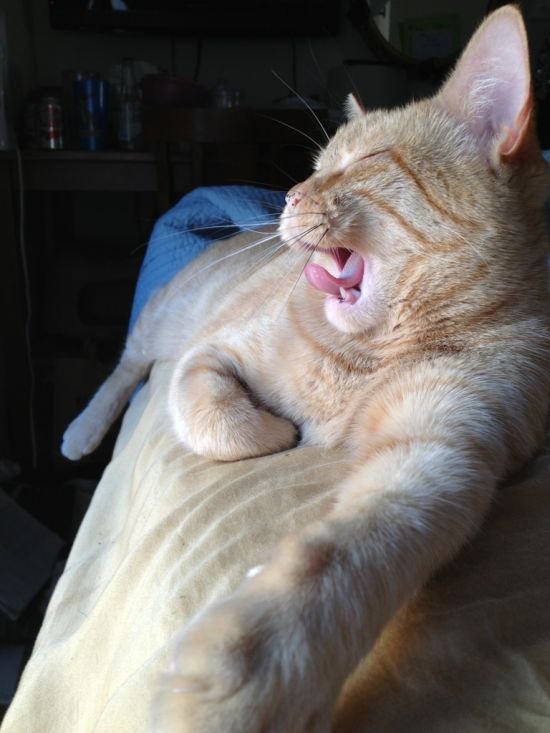 Прикольные картинки перед выходными (39 шт) Прикольные картинки перед выходными (39 шт)