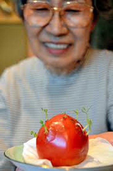 Растения-мутанты с Фукусимы (26 фото) Растения-мутанты с Фукусимы (26 фото)