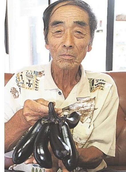 Растения-мутанты с Фукусимы (26 фото) Растения-мутанты с Фукусимы (26 фото)