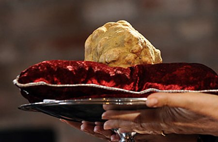 9 Экстремальных видов пищи 9 Экстремальных видов пищи