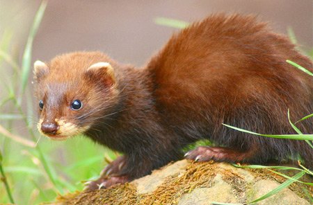 10 Сумасшедших методов контрацепции 10 Сумасшедших методов контрацепции