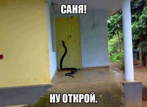 Картинка дня