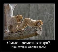 Доза прикольных демок (34 шт) Доза прикольных демок (34 шт)