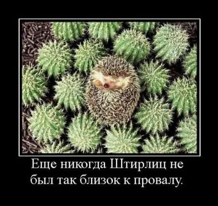 Доза прикольных демок (34 шт) Доза прикольных демок (34 шт)