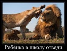 Доза прикольных демок (34 шт) Доза прикольных демок (34 шт)