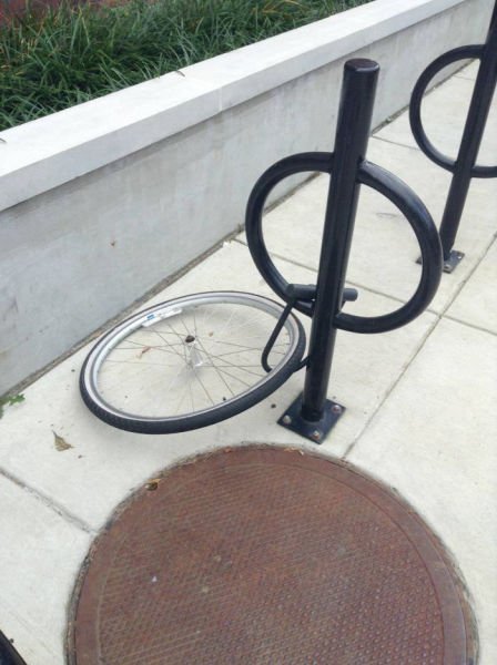 Прикольные картинки для всех (68 шт) Прикольные картинки для всех (68 шт)