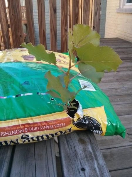 Прикольные картинки для всех (68 шт) Прикольные картинки для всех (68 шт)