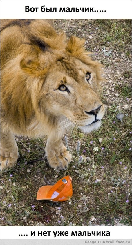 Новый сборник прикольных комиксов (21 шт) Новый сборник прикольных комиксов (21 шт)