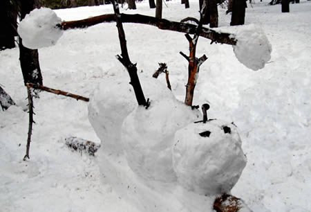 Необычные и прикольные снеговики (21 фото)