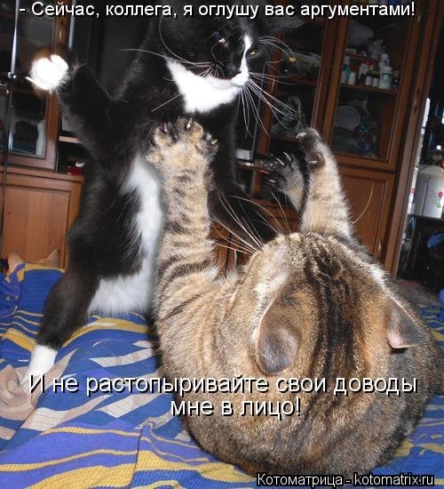 Новая смешная котоматрица (23 фото) Новая смешная котоматрица (23 фото)