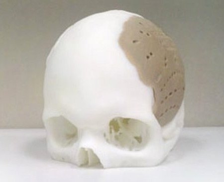 10 Поразительных объектов, распечатанных на 3D-принтере 10 Поразительных объектов, распечатанных на 3D-принтере