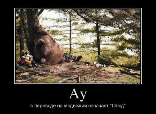 Новые смешные демотиваторы (16 шт)