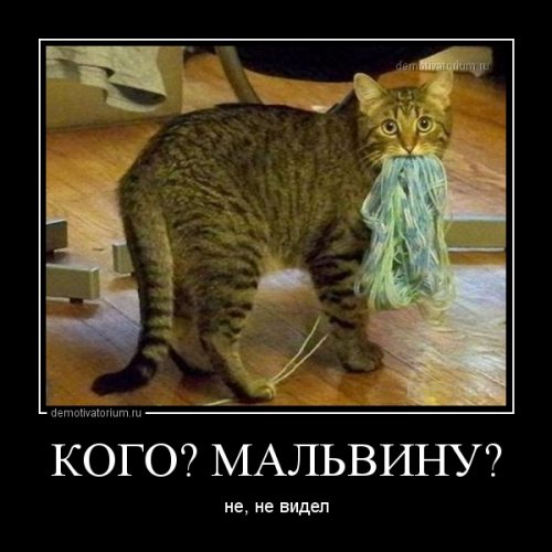 Картинка дня