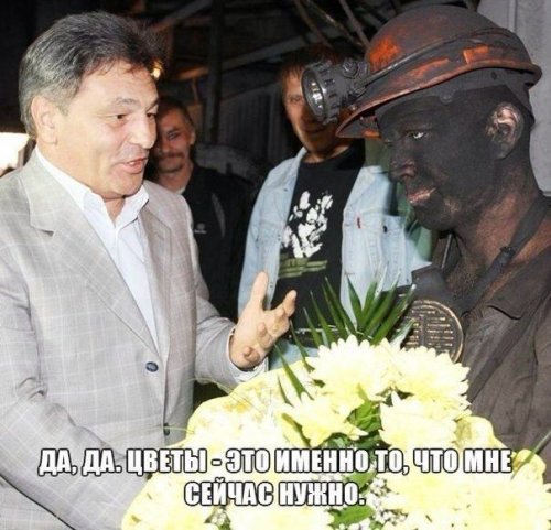 Картинка дня