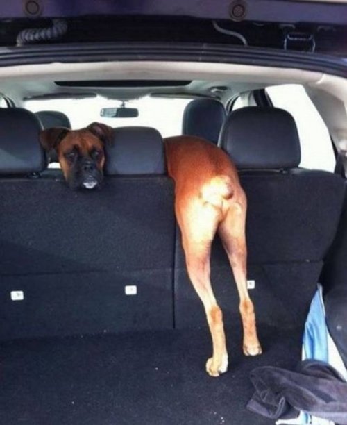 Оказалось, показалось… (34 фото)