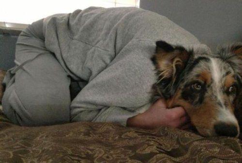 Оказалось, показалось… (34 фото)