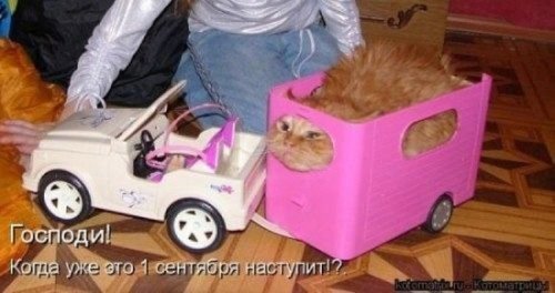 Прикольные картинки к 1 сентября (38 шт)