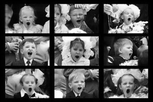 Прикольные картинки к 1 сентября (38 шт)