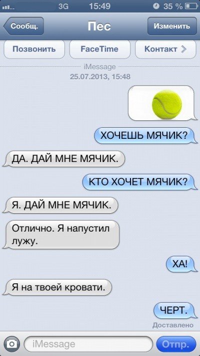 SMS-переписка с собакой (47 фото)