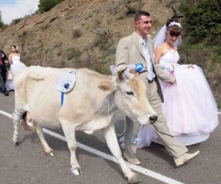 12 Cамых прикольных кольценосцев 12 Cамых прикольных кольценосцев