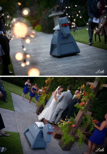 12 Cамых прикольных кольценосцев 12 Cамых прикольных кольценосцев