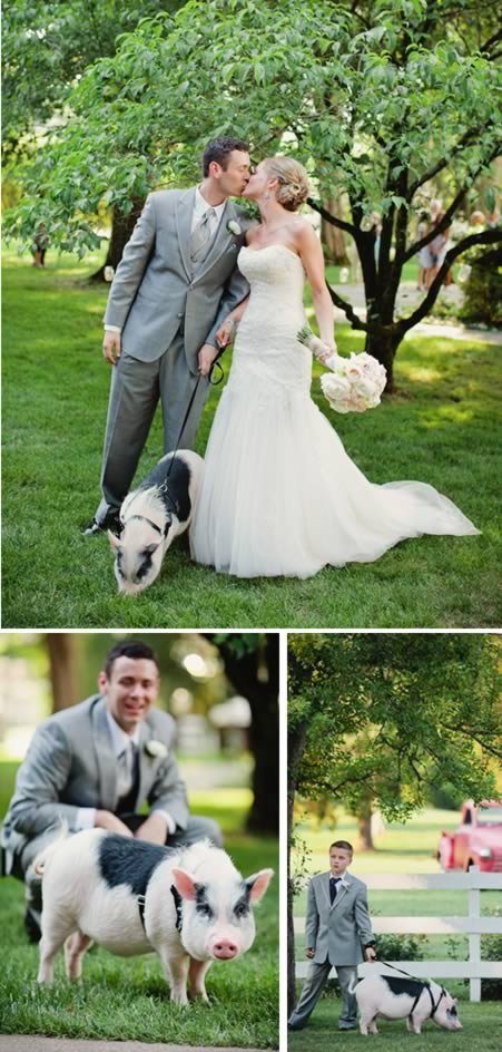 12 Cамых прикольных кольценосцев 12 Cамых прикольных кольценосцев