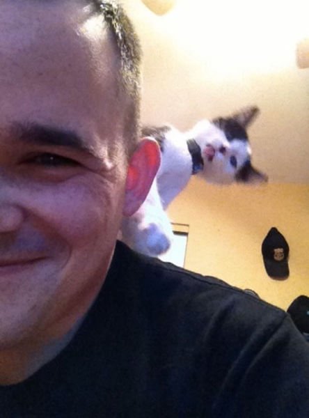 Новые забавные фотобомбы (24 шт) Новые забавные фотобомбы (24 шт)