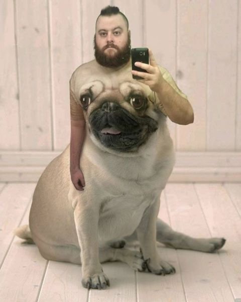 Шедевры Интернета (28 фото) Шедевры Интернета (28 фото)