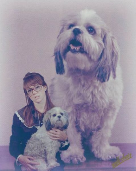 Фотошедевры (27 шт)