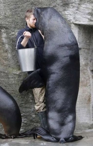 Самые нелепые поцелуи всех времён и народов (19 фото) Самые нелепые поцелуи всех времён и народов (19 фото)