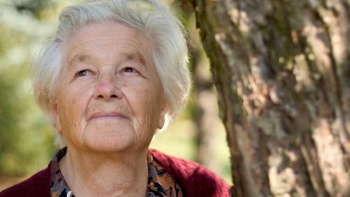 10 Честных человек, которые нашли крупную сумму денег и вернули её