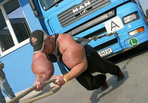 Синтоловые уродцы (25 фото)